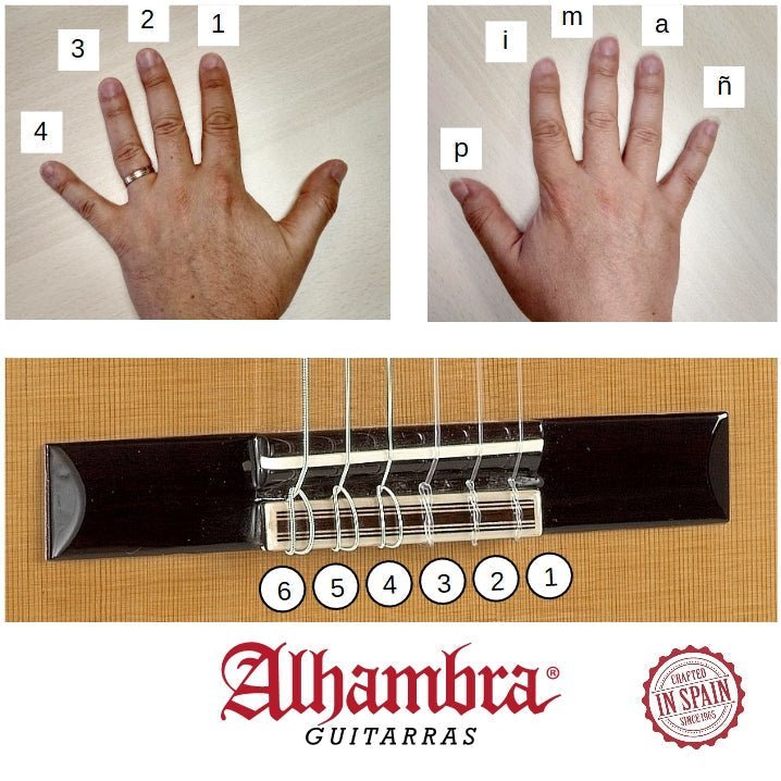 Aprender guitarra, la digitación - Alhambra Guitarras