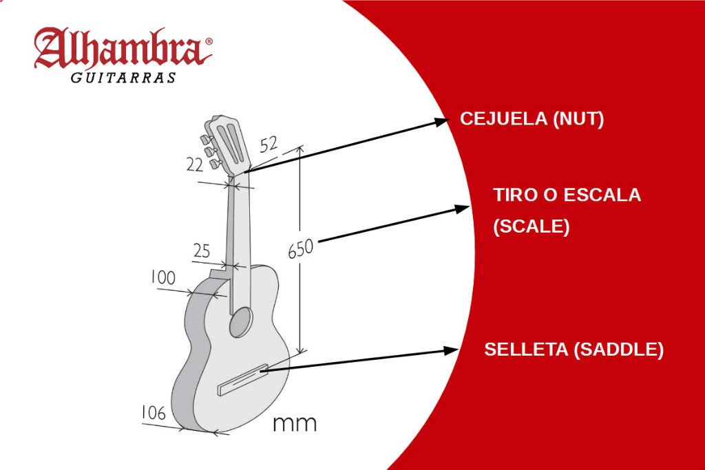 El guitarrista y las dimensiones de la guitarra española - Alhambra Guitarras