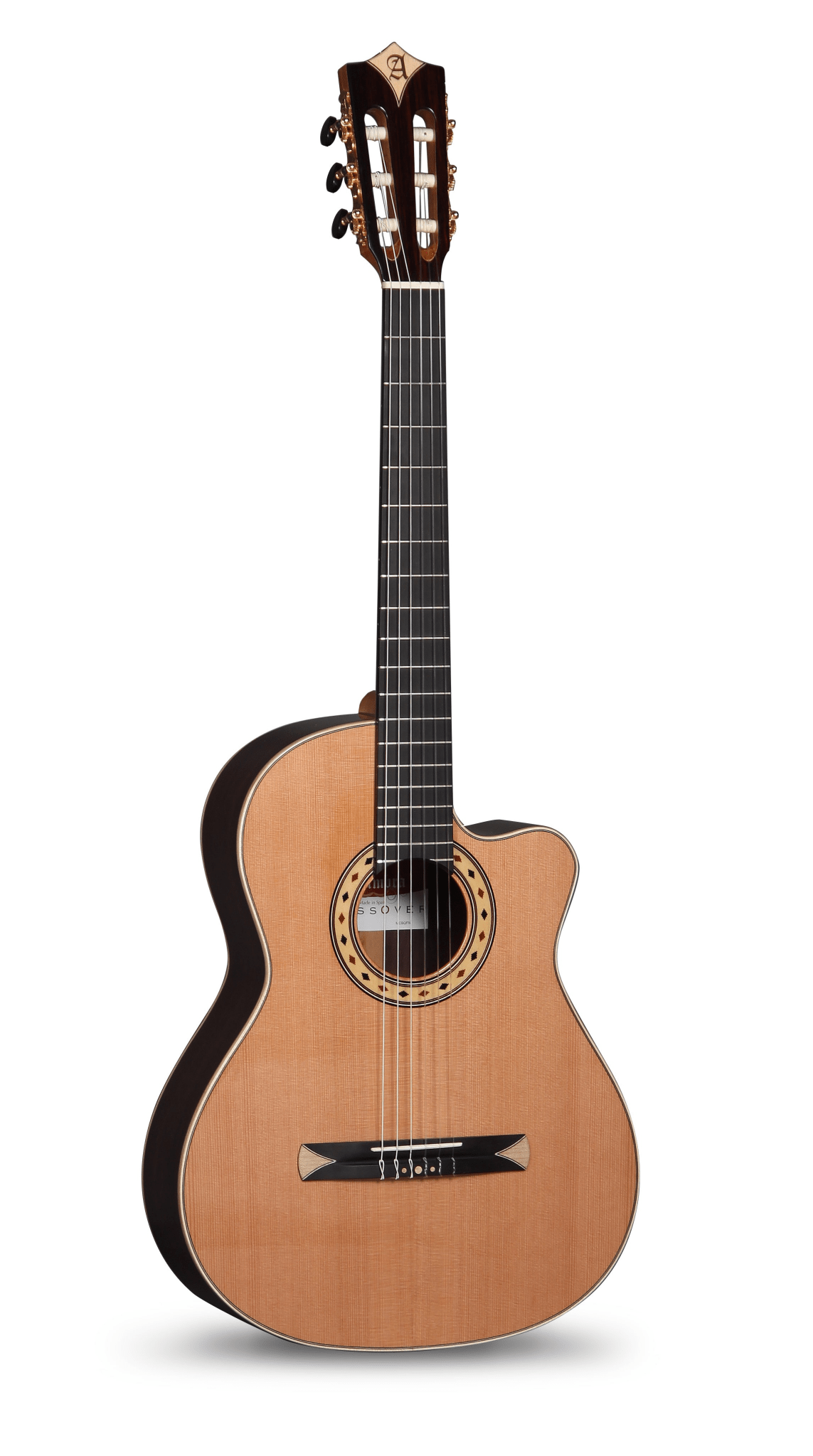アコースティックギター alhambra Semi-acoustic Guitars: Versatility and Superior Sound