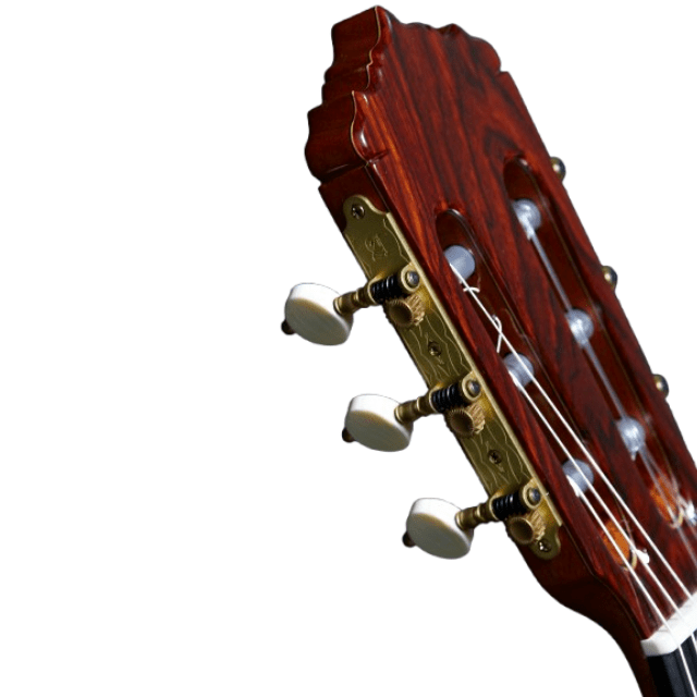 Alhambra Línea Profesional - Alhambra Guitarrasluthier4