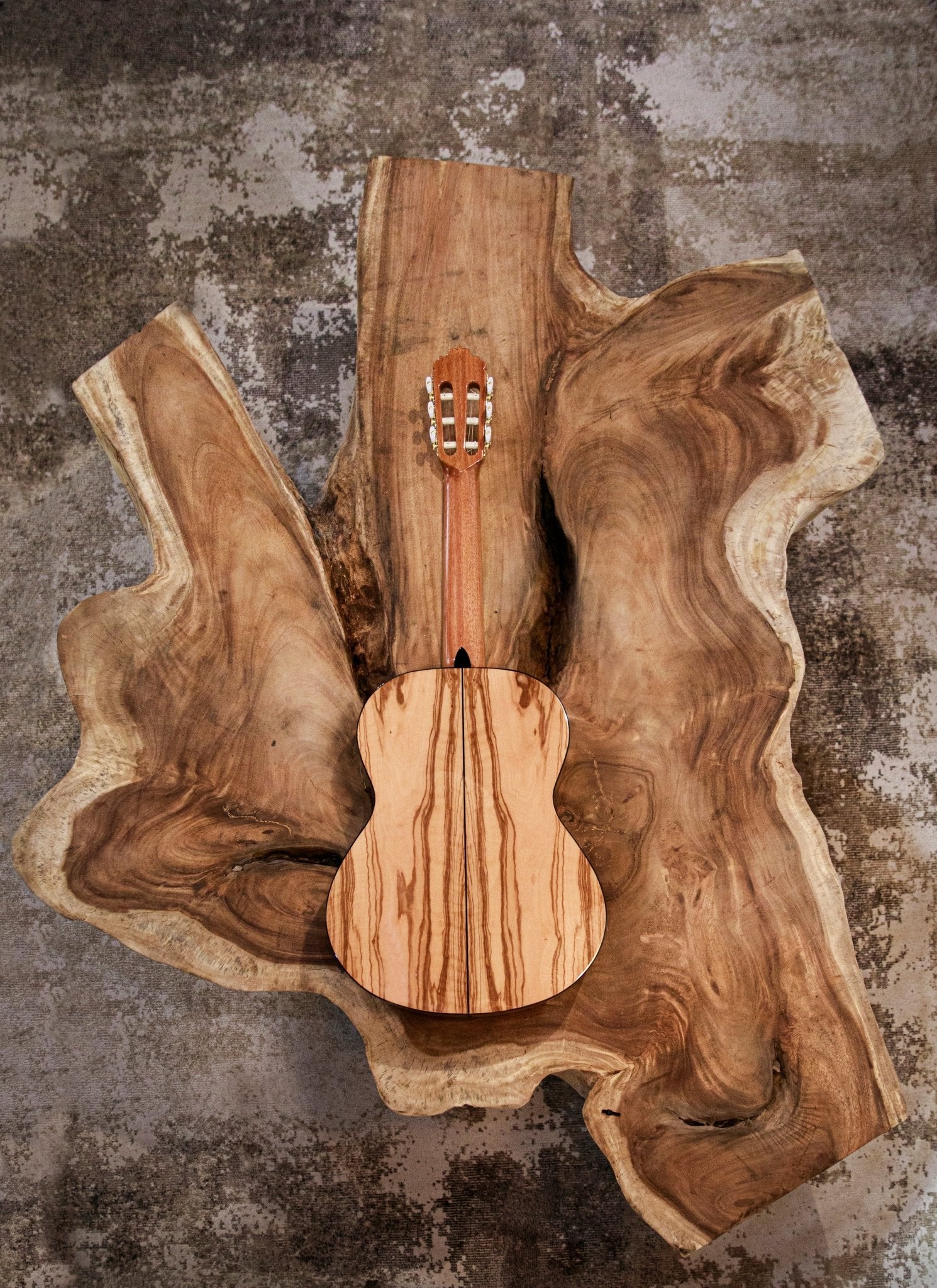 Alhambra 6 Olivo - Alhambra Guitarras7