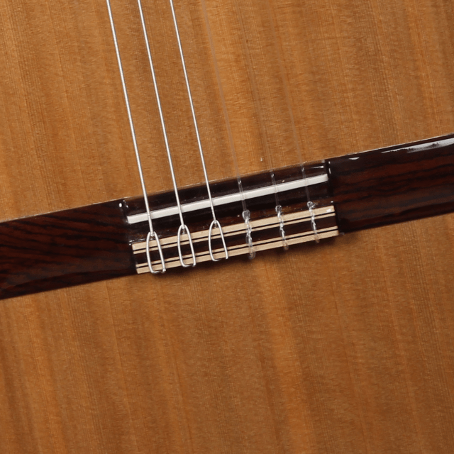 Alhambra Iberia Ziricote - Alhambra Guitarras5