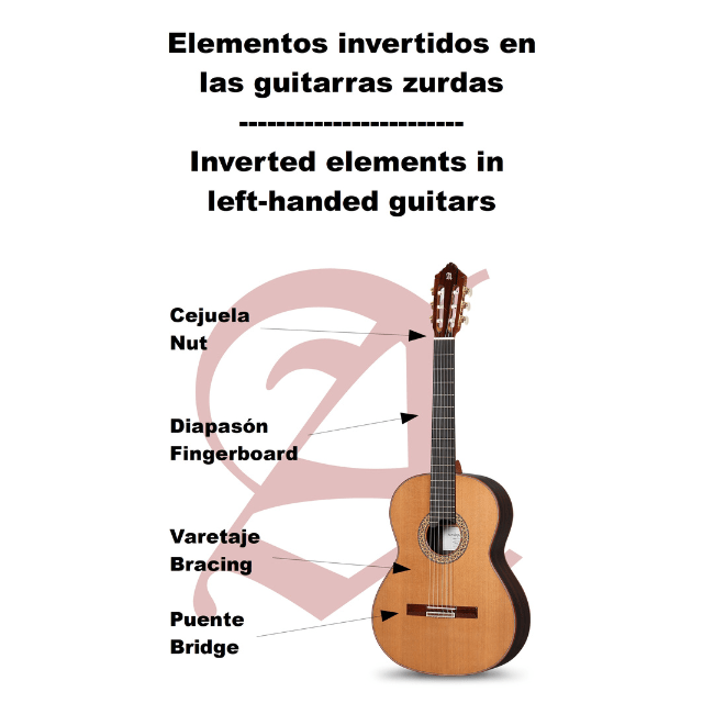 Guitarra Alhambra 3 C Especial Zurda - Alhambra Guitarras desde 1965 -6