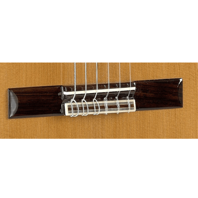 Guitarra Alhambra 5 P - 7/8 - Alhambra Guitarras desde 1965 -8