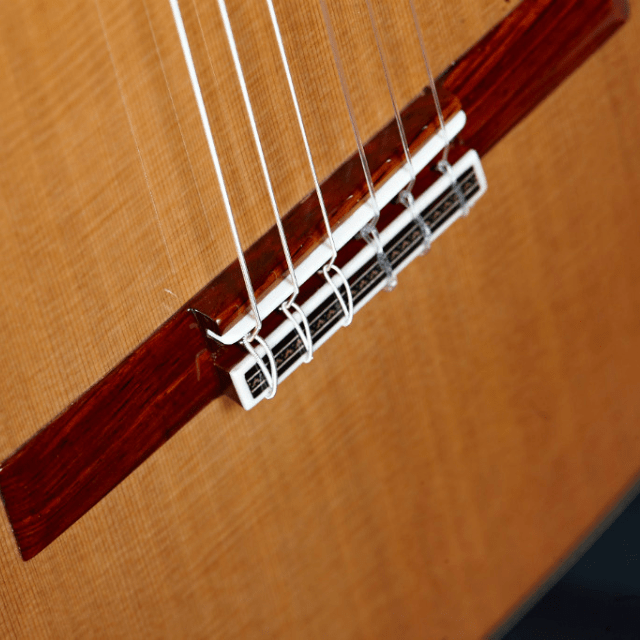 Alhambra Línea Profesional - Alhambra Guitarrasluthier8
