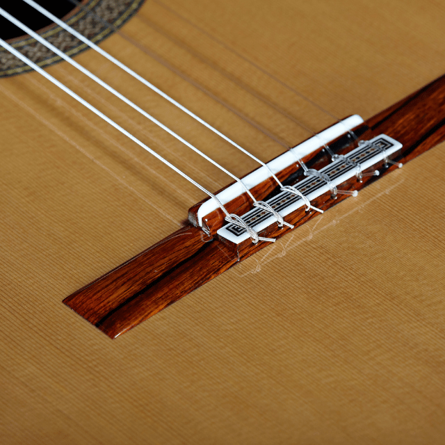 Alhambra Mengual & Margarit Serie NT - Alhambra Guitarrasluthier8