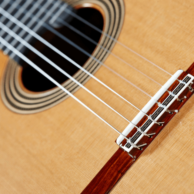 Alhambra Línea Profesional - Alhambra Guitarrasluthier7