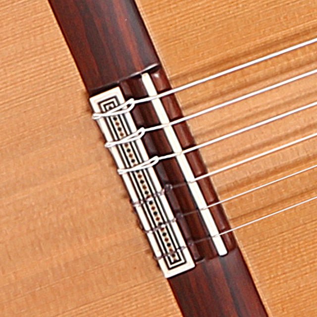Alhambra Signature 10 Fp Piñana -5 Alhambra Guitarras