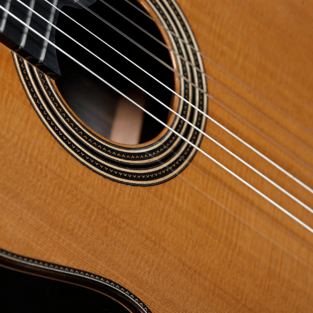 Alhambra Línea Profesional - Alhambra Guitarrasluthier6