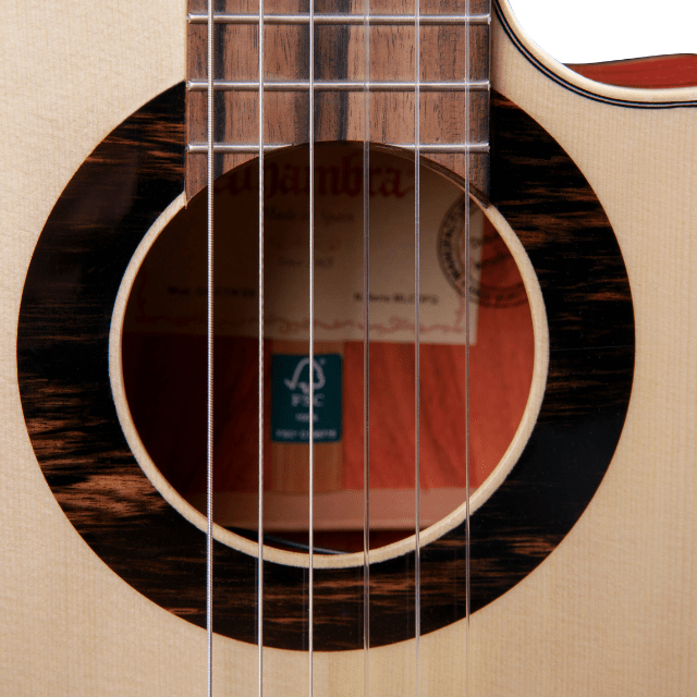 Guitarra Alhambra Green Sustain Cut Away E8 - Alhambra Guitarras desde 1965 -7