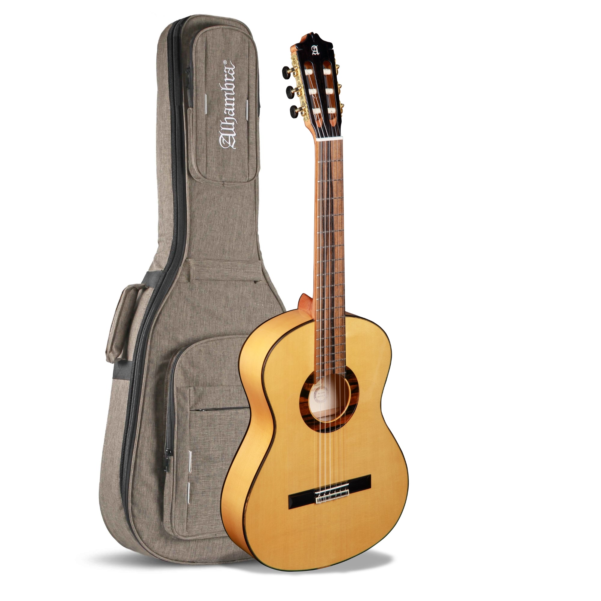 Green Sustain GSF Flamenco Guitar