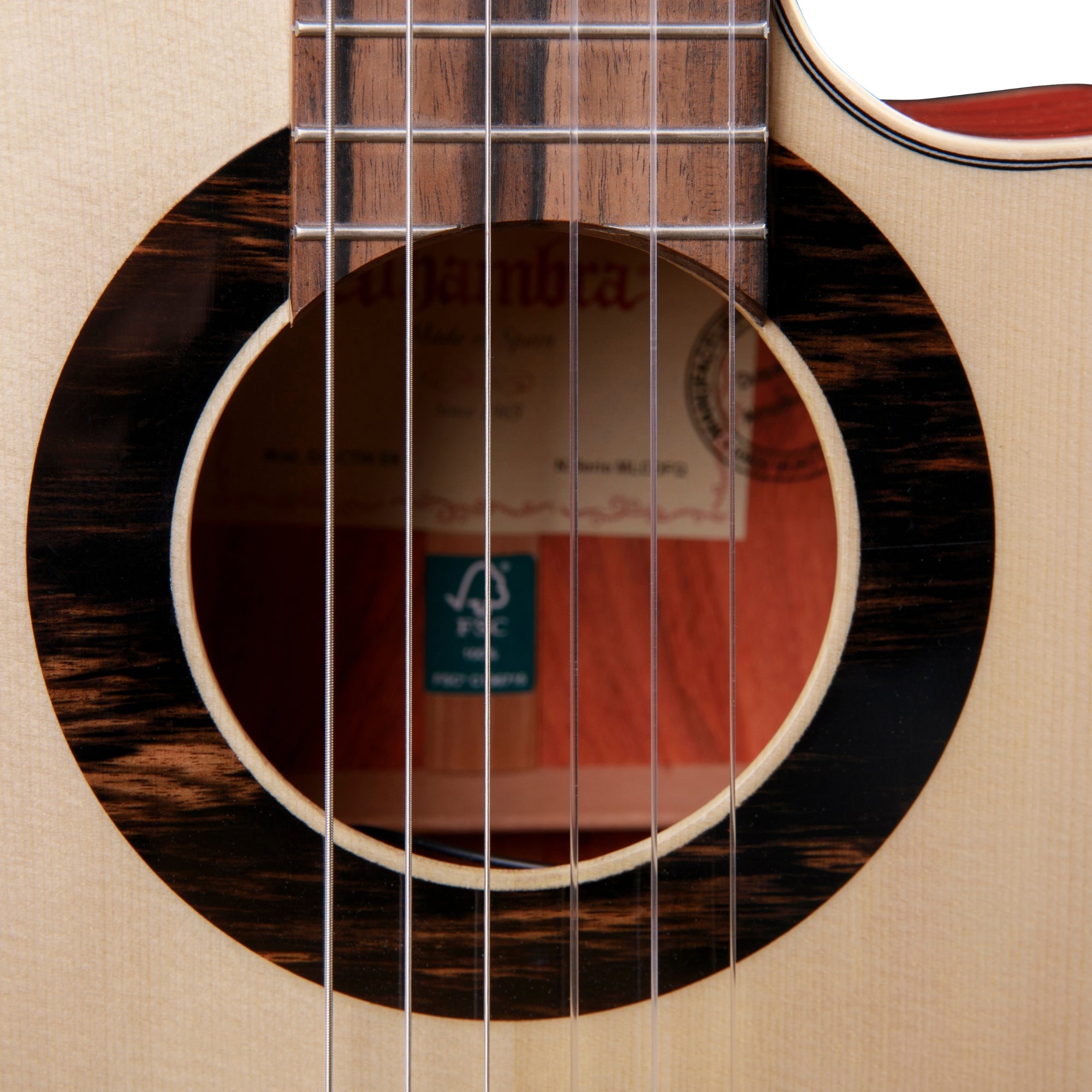 Alhambra Green Sustain Cut Away E8 - Alhambra Guitarras