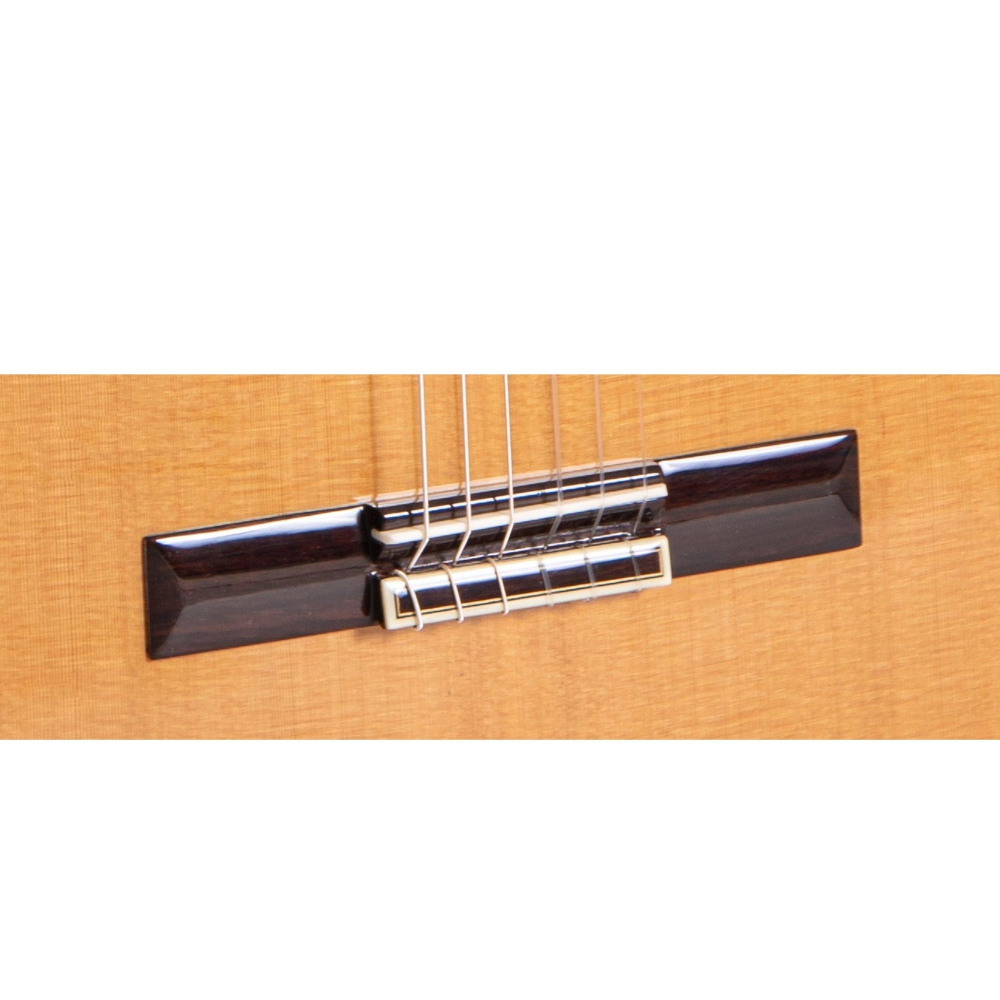 Alhambra Premier Pro Madagascar - Alhambra Guitarras