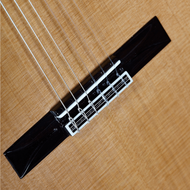 Alhambra Vilaplana Serie NT - Alhambra Guitarras