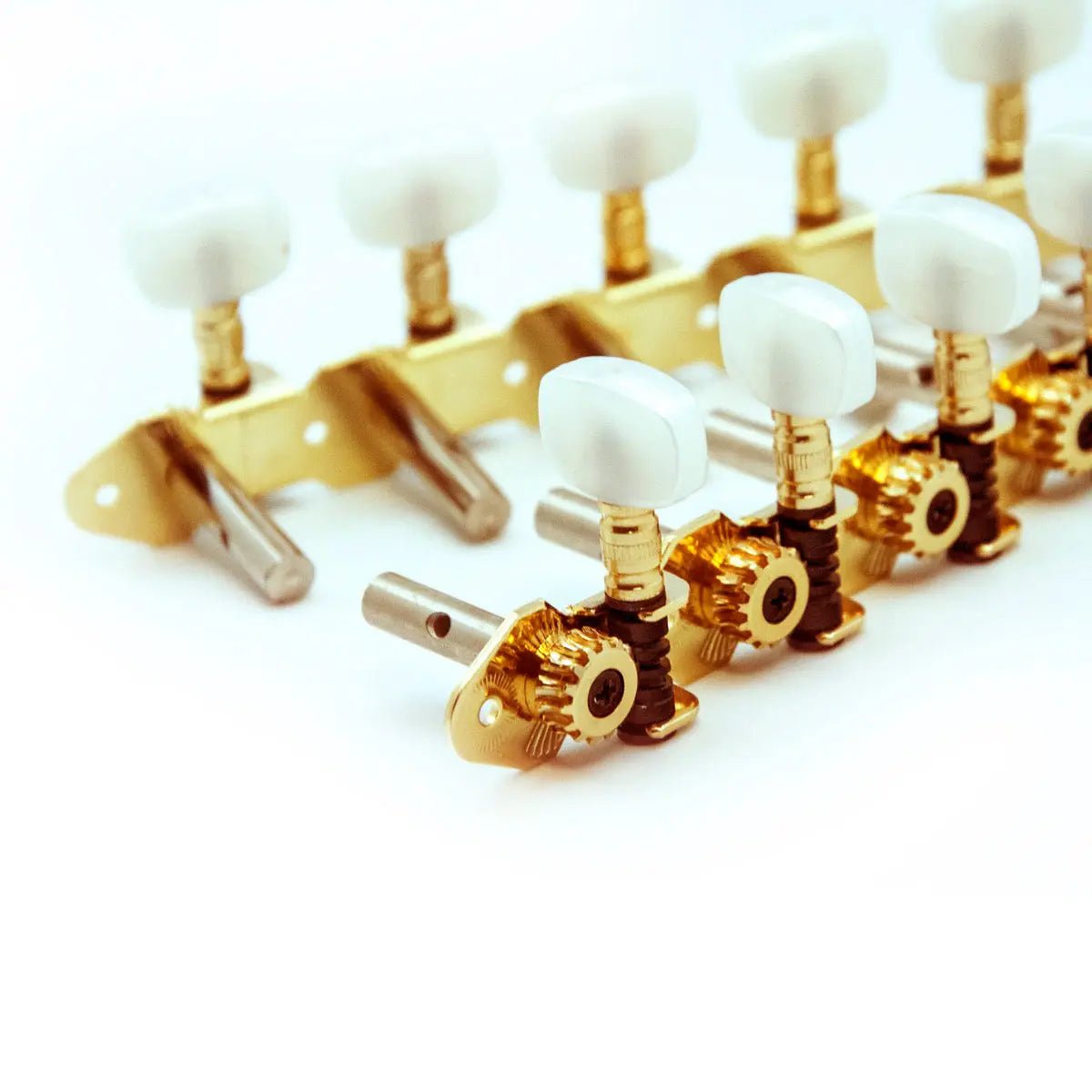 Guitarra Clavijero dorado para bandurria/laúd - Alhambra Guitarras desde 1965 -1