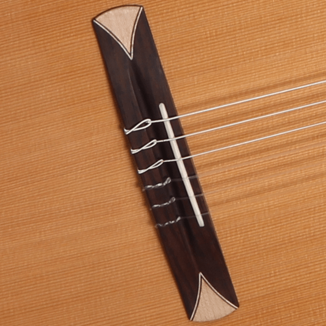 Guitarra Alhambra CrossOver CS-1 CW E1 - Alhambra Guitarras desde 1965 -5