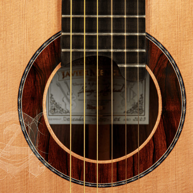 Deseada by Javier Mengual - Alhambra Guitarras