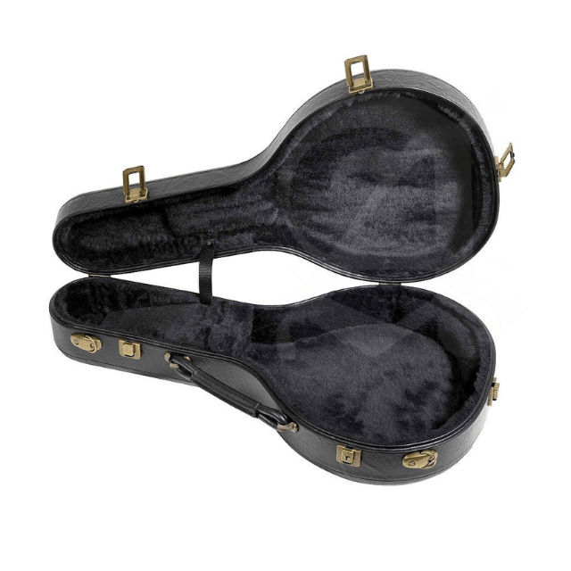 Guitarra Estuche de Fibra de Poliuretano para Laúd - Alhambra Guitarras desde 1965 -3