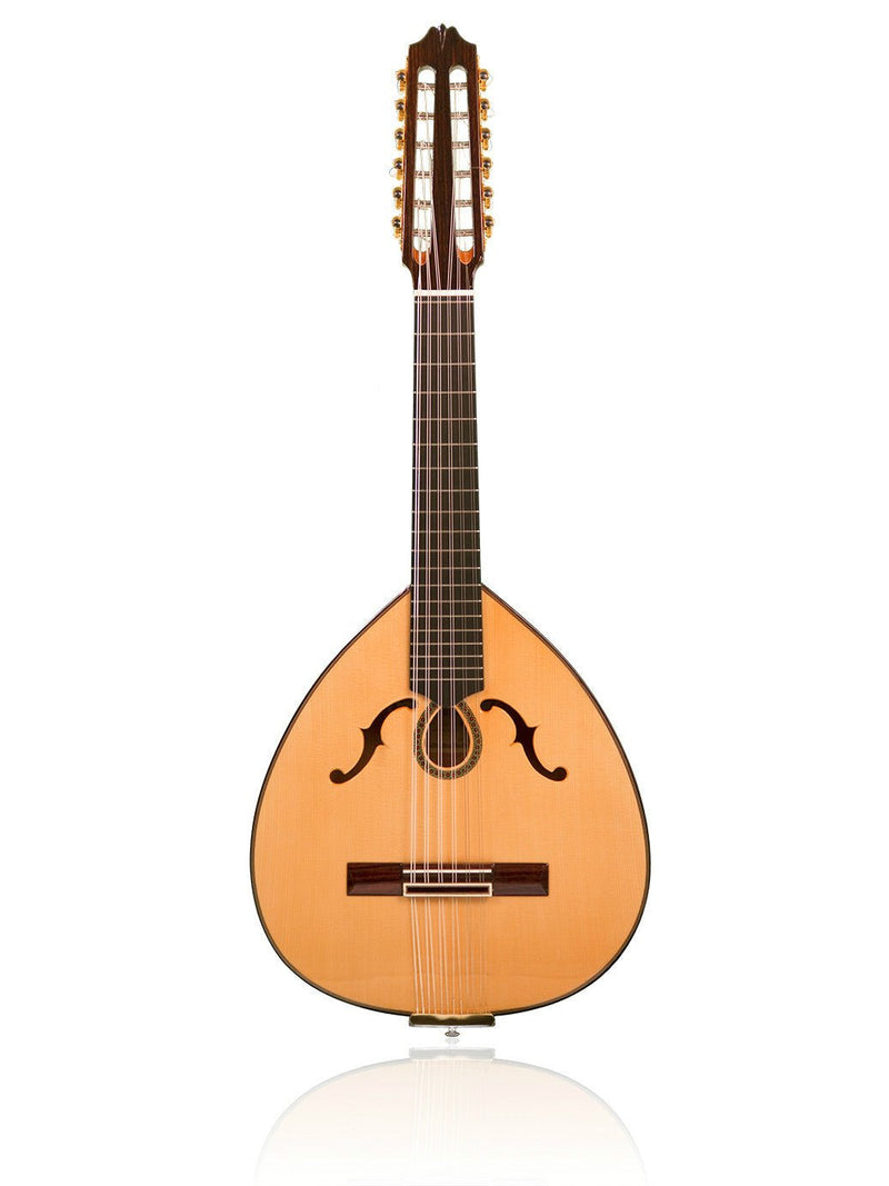 The Spanish guitar and the lute, two string instruments