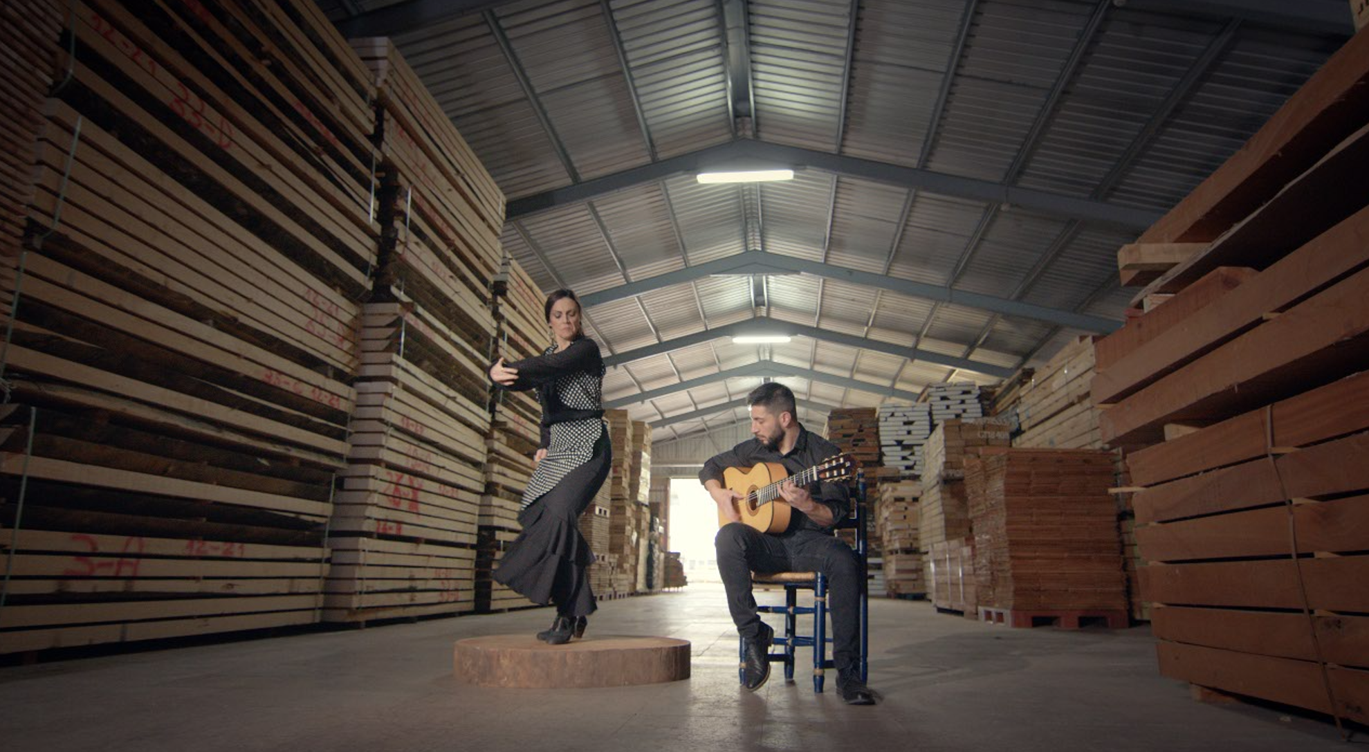 Guitarras Flamencas construidas en España - Todos los niveles - Alhambra Guitarras desde 1965