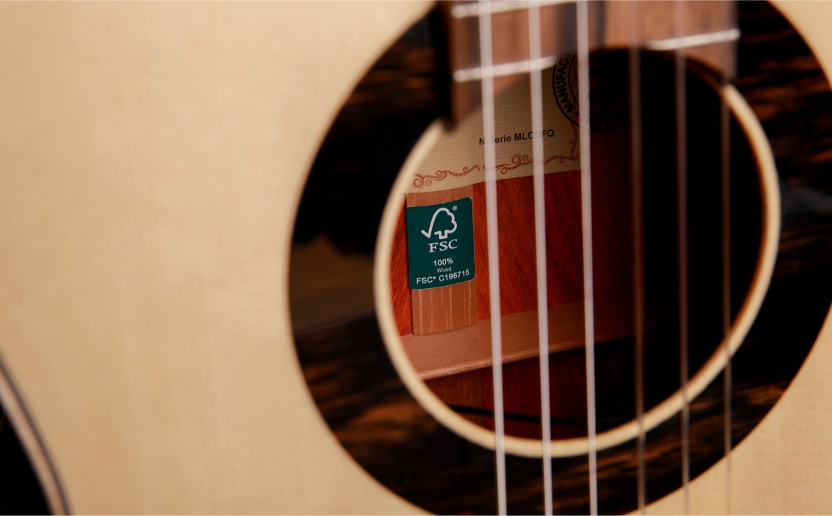 Guitarra Alhambra Green Sustain Classical - Alhambra Guitarras desde 1965 -8