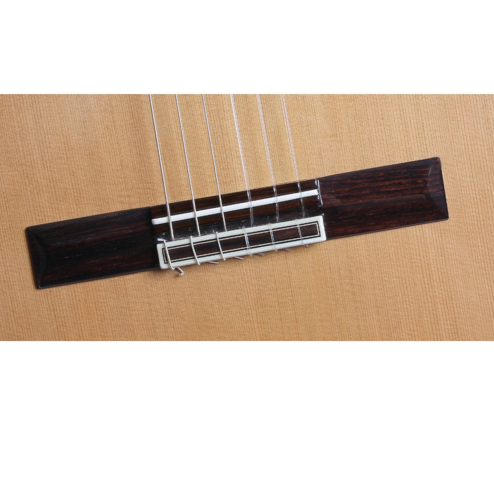 Alhambra 10 Premier - Alhambra Guitarras