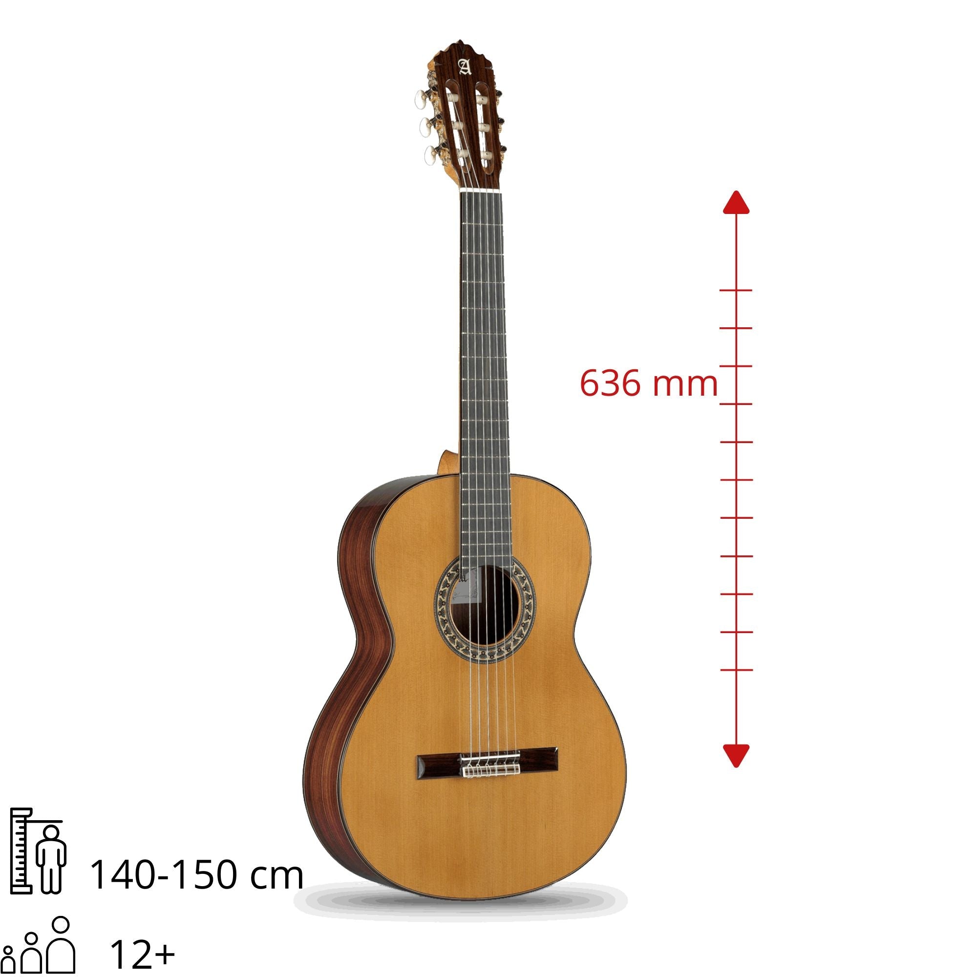 Alhambra 5 P - 7/8 - Alhambra Guitarras