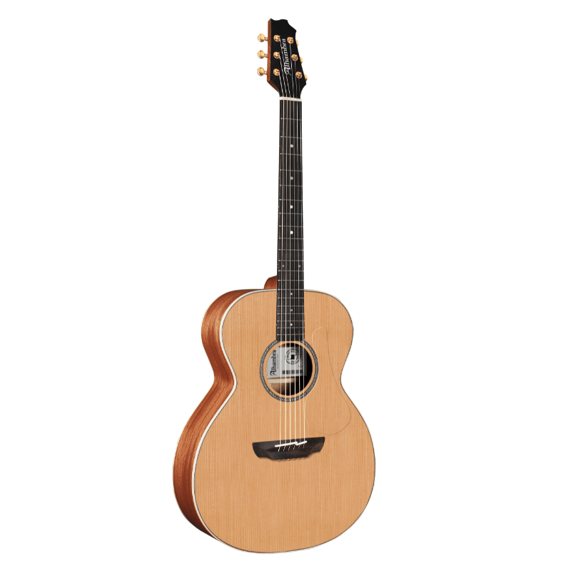 Acoustic Guitar AA-CSp E9 - Alhambra Guitars