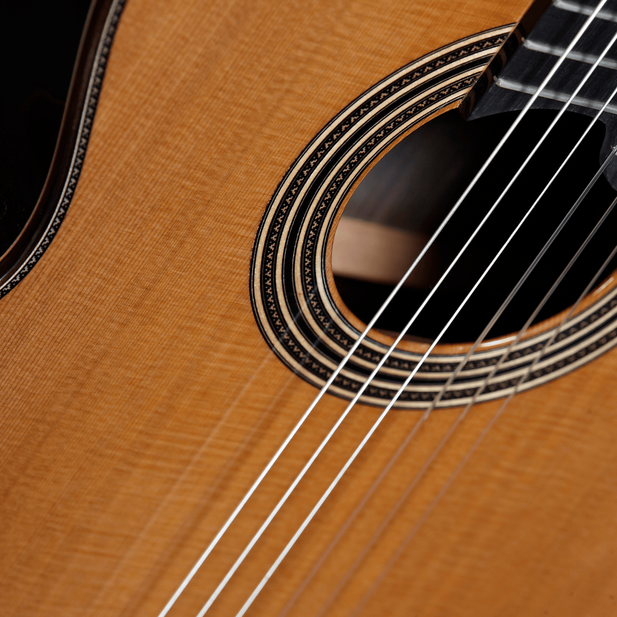 Linea Profesional Classical Guitar - Alhambra Guitarras