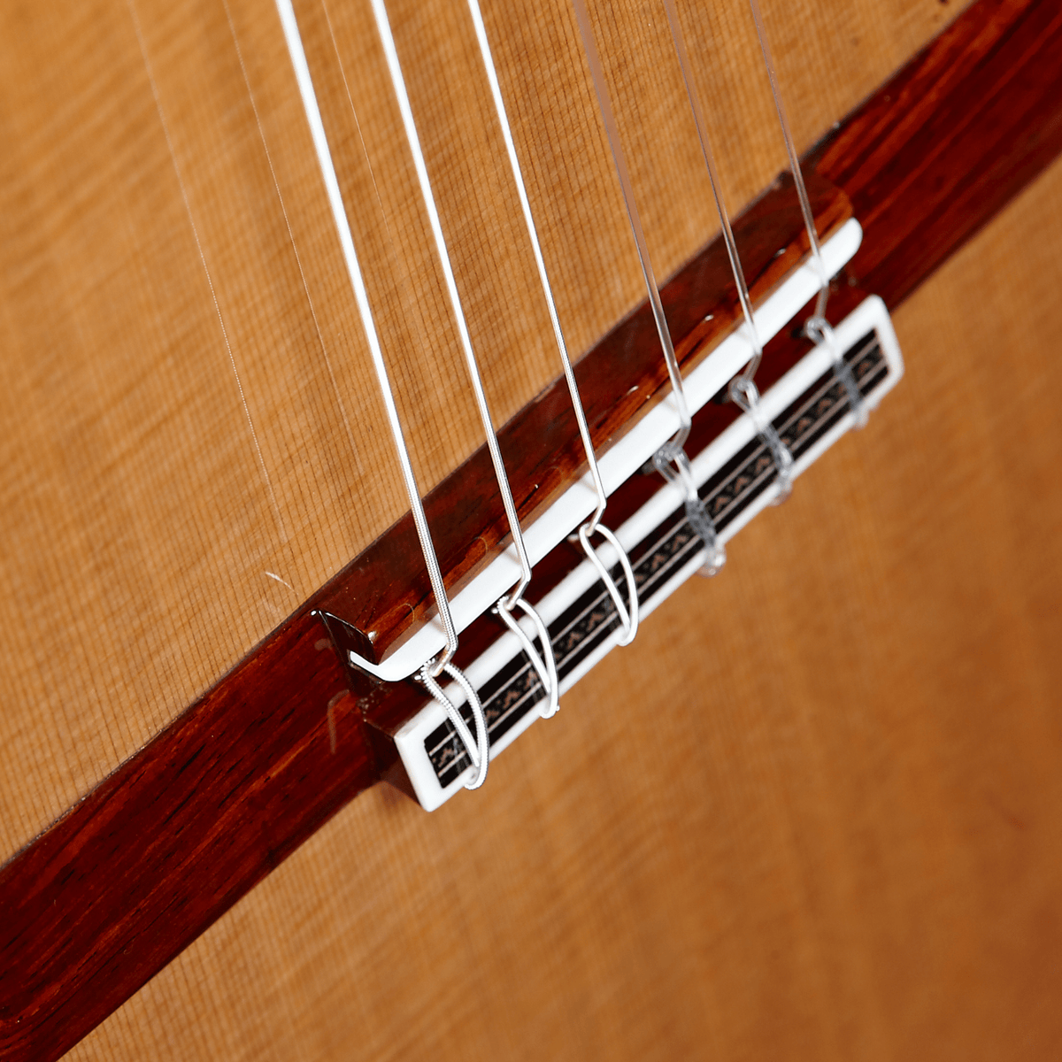 Linea Profesional Classical Guitar - Alhambra Guitarras