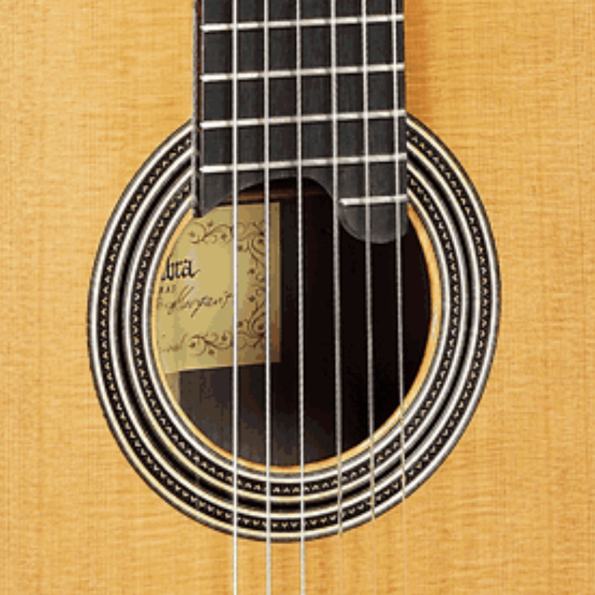 Linea Profesional Classical Guitar - Alhambra Guitarras