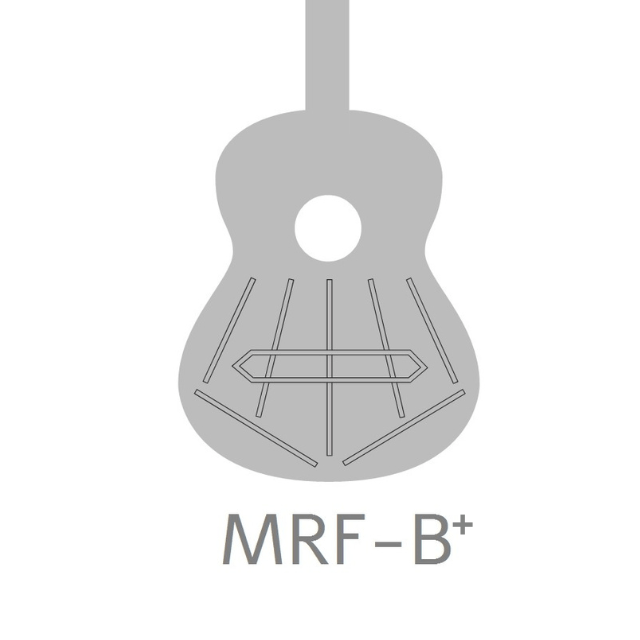 Guitarra Alhambra desde 1965